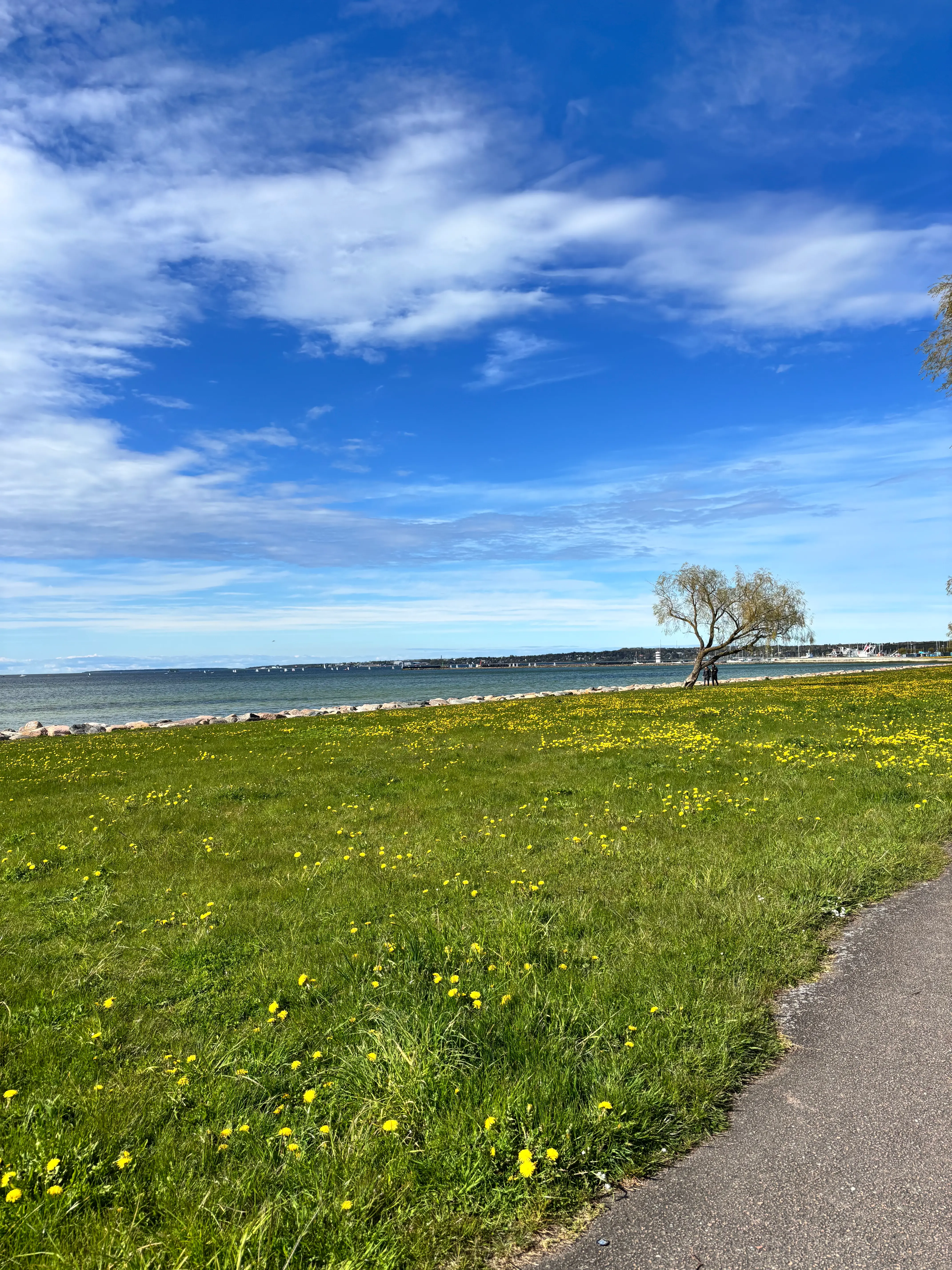 872AFC2B B00B 4DFC BDB9 10B7F047FA94